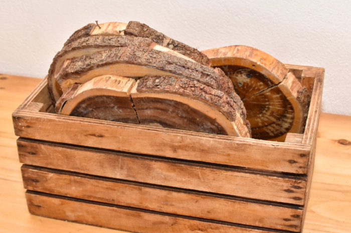 Charger Plates - Gold Rim (Set of 25)